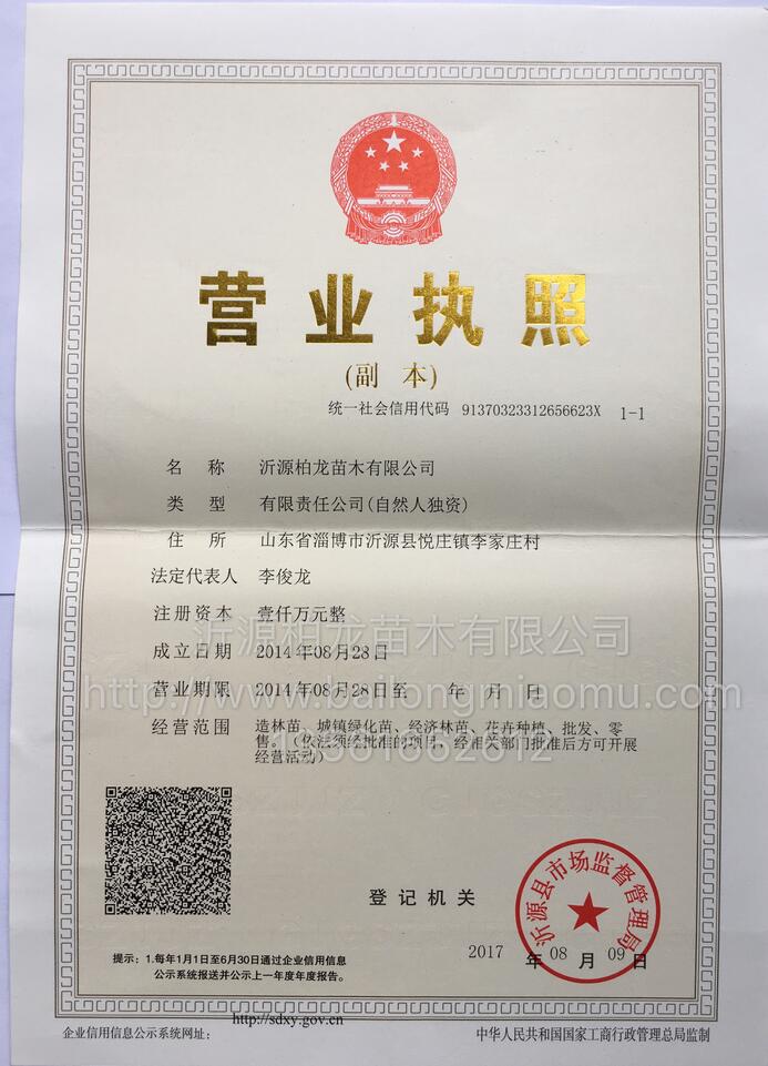 Y|(zh)su